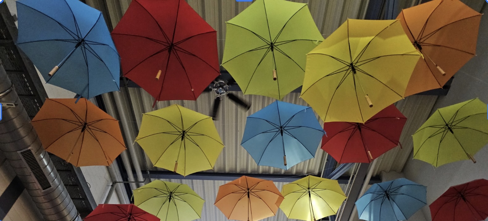 Colourful umbrellas mounted the ceiling as art.